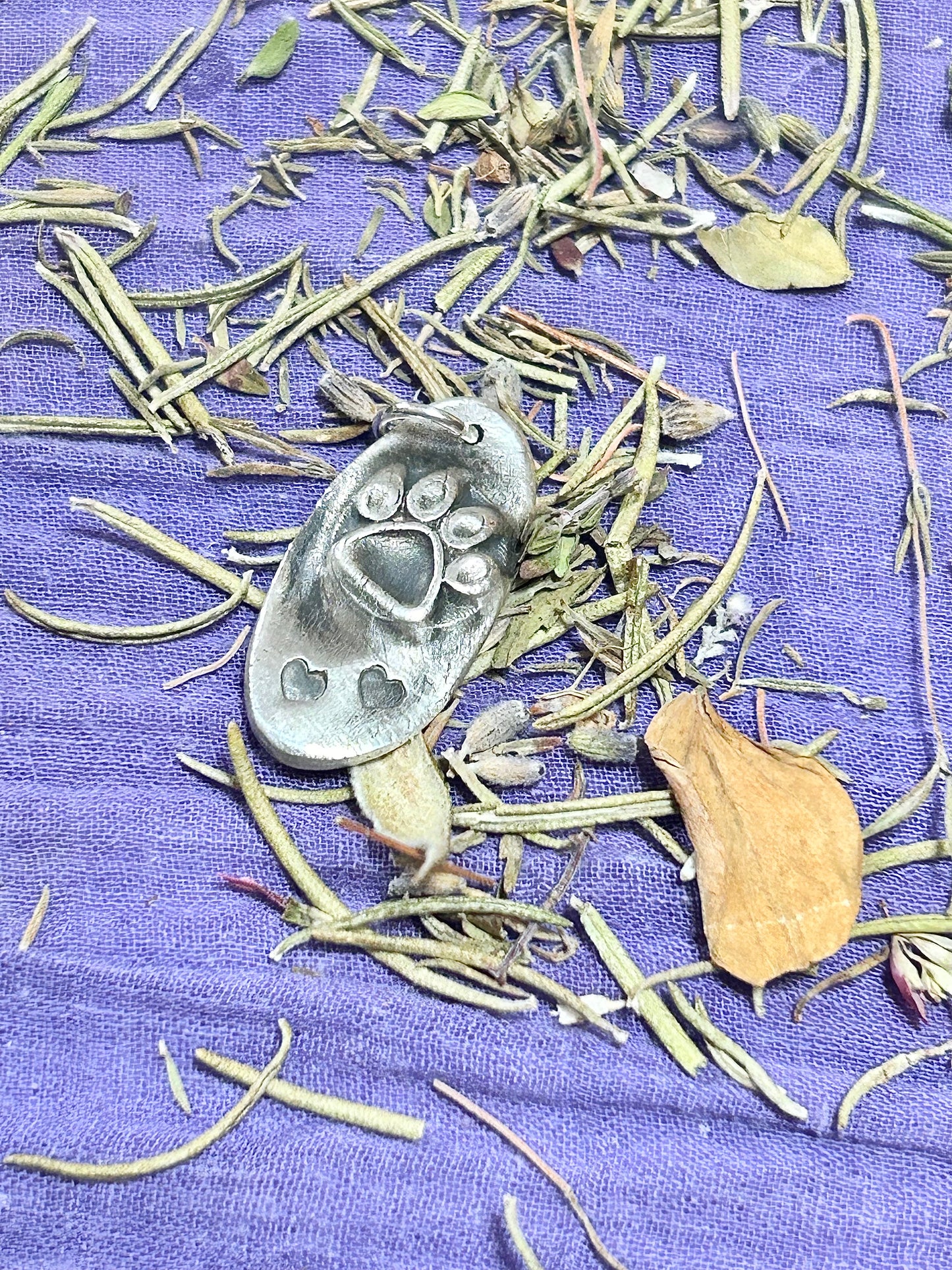 Faithful Companion Dog Print