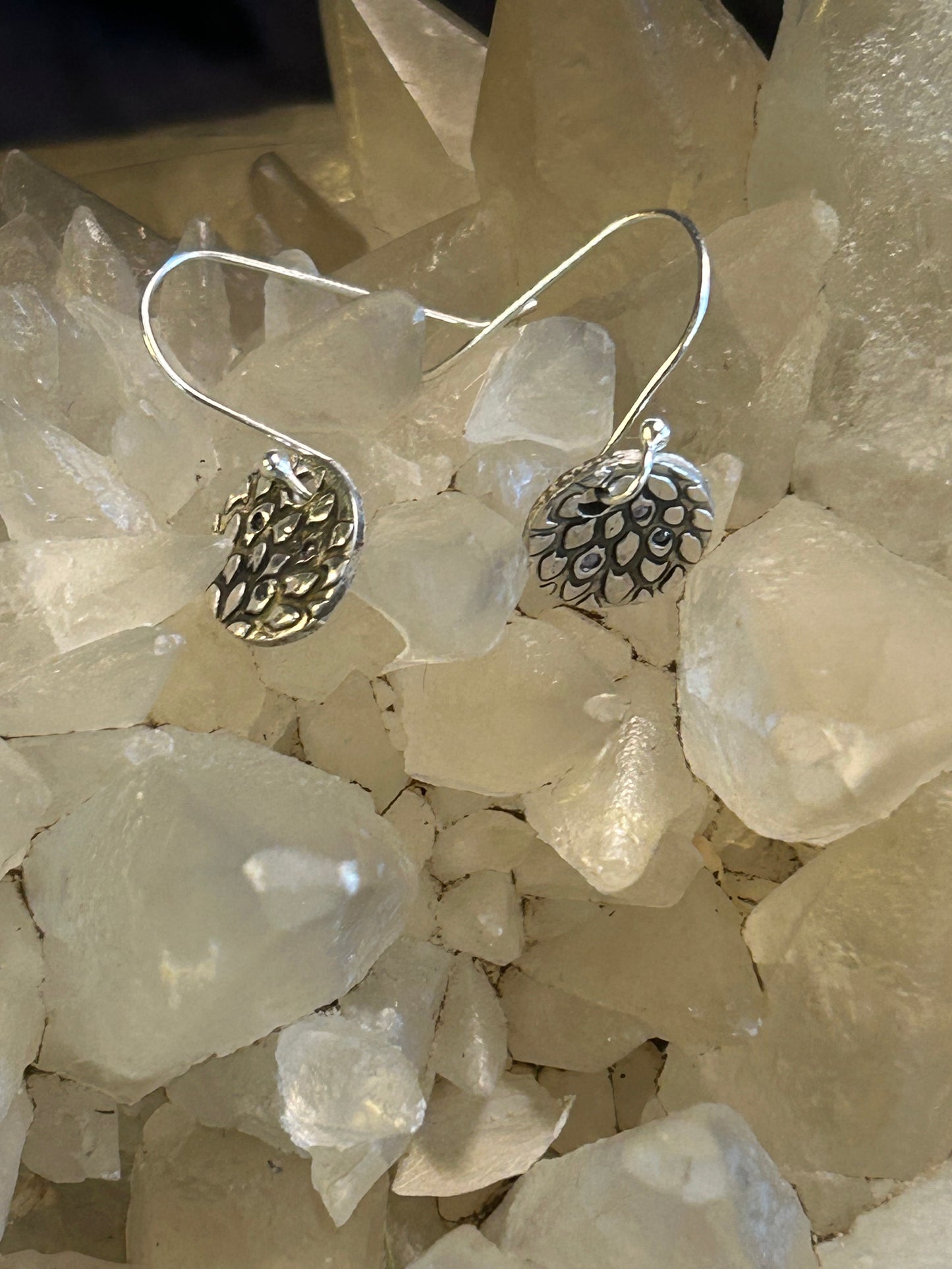 Fine Silver Textured Disc Earrings with Nano Stone Accents